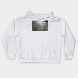 snowy  oregon forest 2 Kids Hoodie